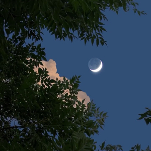 阿尔茨海默的爱 （cover:白举纲）（翻自 石头）