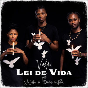 Lei de Vida
