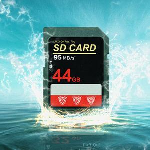 SD CARD (feat. Tyro)