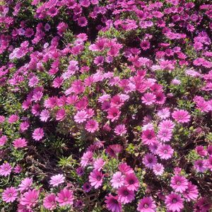 坠星（Prod by：白昼星BZX）