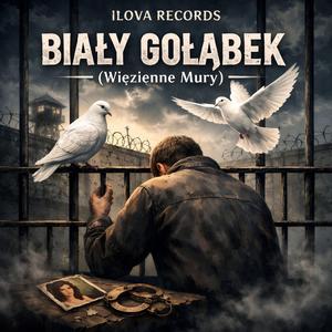 Biały Gołąbek (Więzienne Mury)