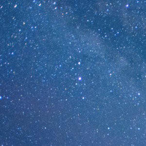 乘着风也飘向你