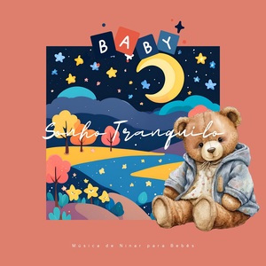 Nascer do Sol, Floresta À Noite