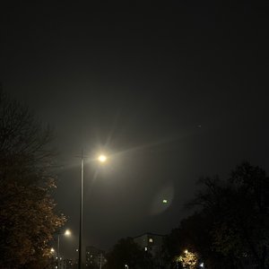 Goraya