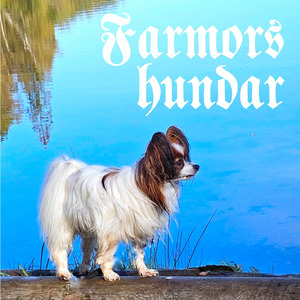Farmors hundar
