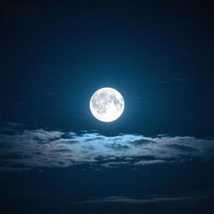 细雨飘零浸心湛