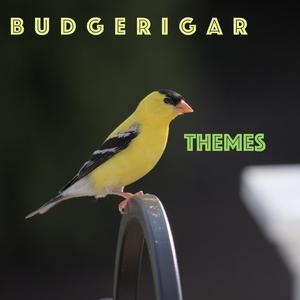 Wild Times (Western Theme)