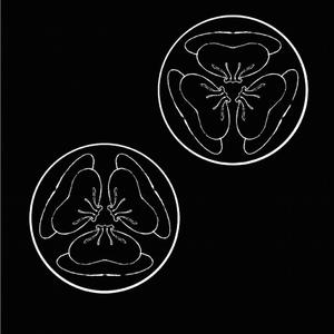 Summer's Gone Ft. Jony J (Prod. PDP)