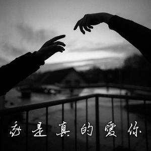 我是真的爱你