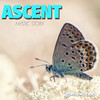 Ascent - Spiritual