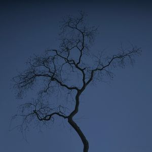 你不来我不老