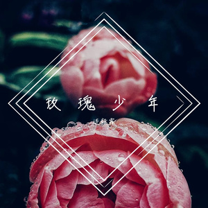 玫瑰少年史诗版