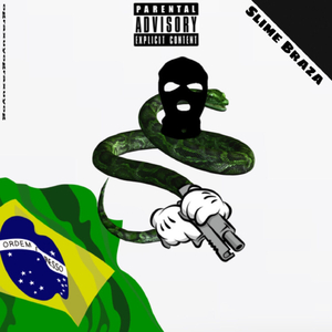 Carga De Dola Na Sacola