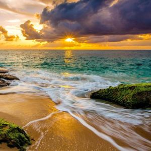 只想拥有原本属于我的东西