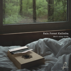Rain Forest Kalimba 수면 진입