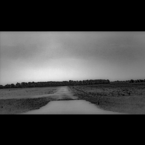 Why Don't You Love Me?