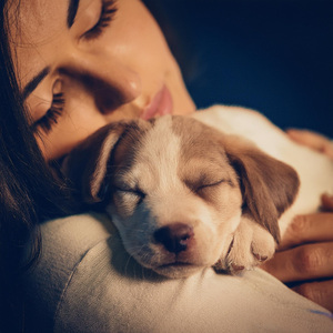 Vibraciones Relajantes Para Perros