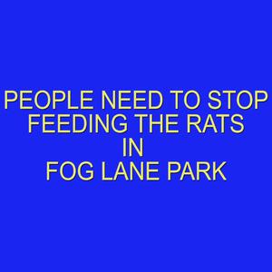PEOPLE NEED TO STOP FEEDING THE RATS IN FOG LANE PARK