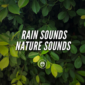 Nature Music