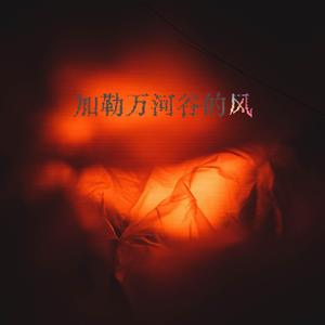 加勒万河谷的风