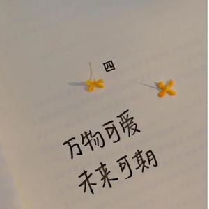夏夜晚风
