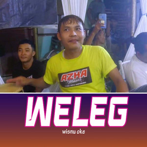 Weleg