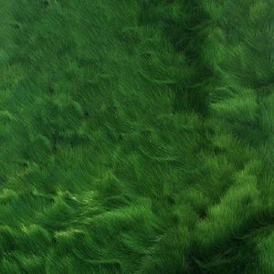 【免费】 "沉重" 叙事 钢琴 emo trap Type Beat