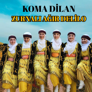 Zurnalı Ağır Delilo