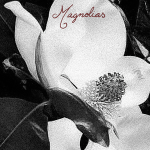 Magnolias