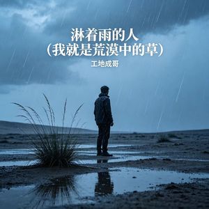 淋着雨的人(我就是荒漠中的草)