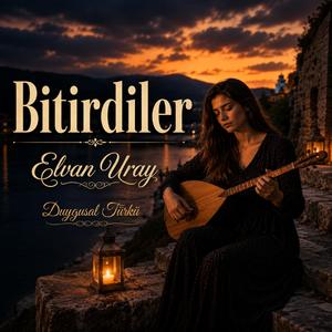 Bitirdiler