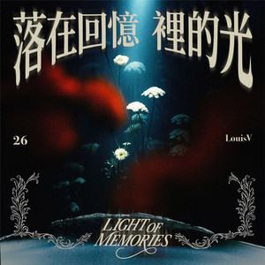 落在回忆里的光