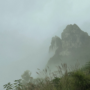 浮响 Hovering Voice