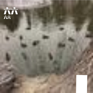 静谧留白的情绪余韵