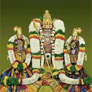 திருப்புகழ் 298 வட்ட வாள் தன (திருத்தணிகை)