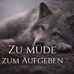 Zu müde zum Aufgeben