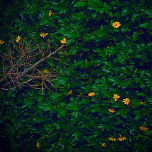 Nostalgia cállate ya