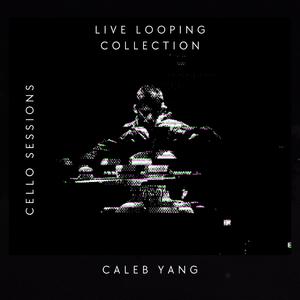 Fall (Live Looping) (Live)