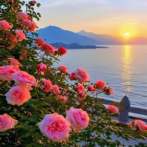 点亮黑暗中的明天