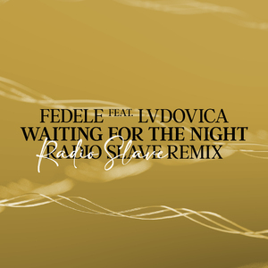 Waiting For The Night (Radio Slave Remix)