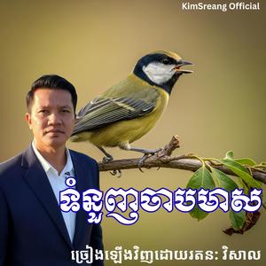 ទំនួញចាបមាសច្រៀងឡើងវិញដោយ រតនៈ វិសាល