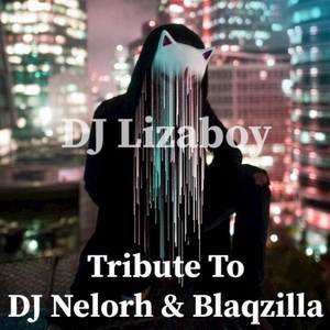 Tribute to DJ Nelorh & Blaqzilla