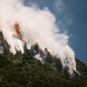 Plegaria del Fotón Penante al Fin de Todas las Asfixias