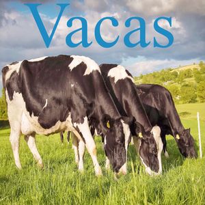 Vacas