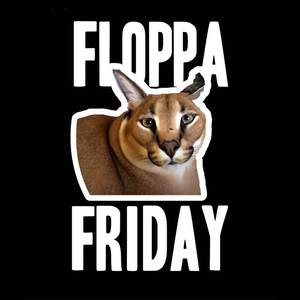 Floppa Friday (Drip)