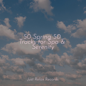 Shimmering Shadows in Silence