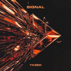 Signal