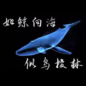 如鲸向海，似鸟投林