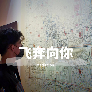 于贞-飞奔向你（cover-于贞）（Meditaion. remix）