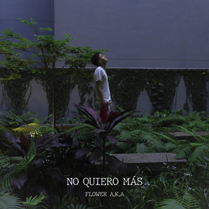 No quiero mas